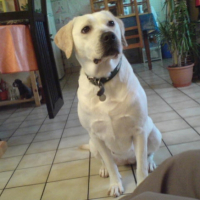 Photo #230496 de Praline