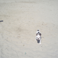 DOMINO à la plage