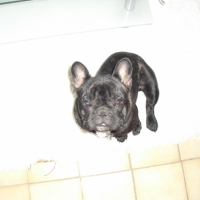Photo #230658 de Earl