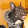 photo_appareil_045
