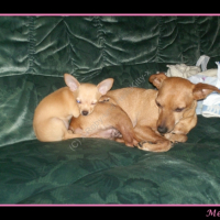 Photo #230683 de Roby