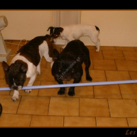 Photo #230711 de Vanille