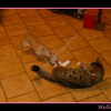famille_14_