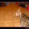 famille_17_