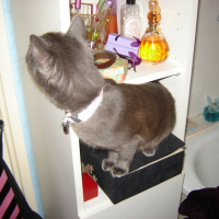 Photo #230764 de Winnie