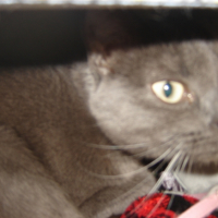 Photo #230766 de Winnie