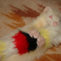 Photo #230768 de Charly
