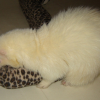 Photo #230769 de Charly