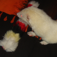 Photo #230771 de Charly