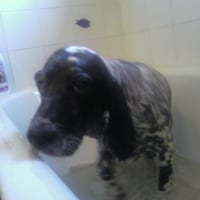 je n'aime pas beaucoup prendre de bain !!!