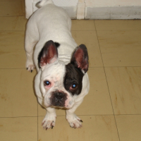 Photo #230805 de Teena