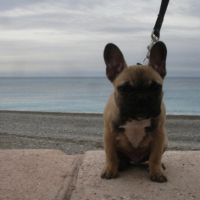Photo #230807 de Earley