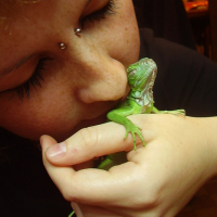 Photo #230842 de Ricoo