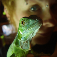 Photo #230843 de Ricoo
