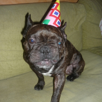 Photo #230855 de Sanka