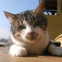 Photo #230948 de Granite