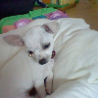 Photo #231026 de Elfi