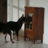 Armoire de poupée !