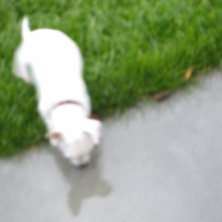 Photo #231181 de Elfi