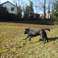 Photo #231337 de Engie