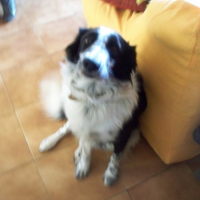 Photo #231344 de Culombu