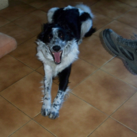 Photo #231352 de Culombu