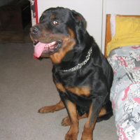 Photo #231372 de Hugo