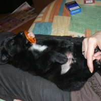 Photo #231386 de Cali