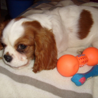 Photo #231454 de Happy