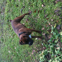 Photo #231519 de Tessa