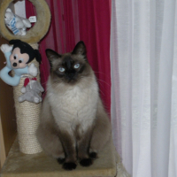 Photo #231569 de Bouba