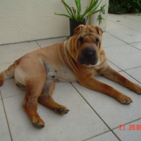 Photo #231720 de Texas