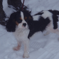 Photo #231787 de Nenette