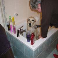 le bain