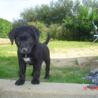 Photo #231807 de Black