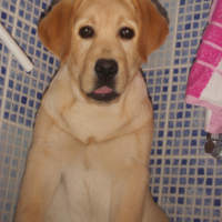 Photo #231814 de Ever