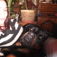 Photo #231890 de Dalhia