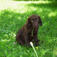 Photo #231895 de Ebane