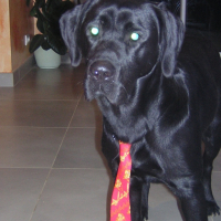 Photo #231900 de Calypso