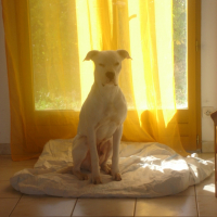 Photo #231907 de Booba
