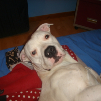 Photo #231909 de Booba