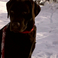 IMG00037-20091213-1457