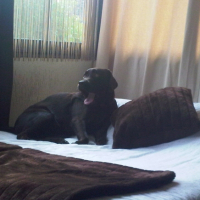 IMG00810-20091002-0928