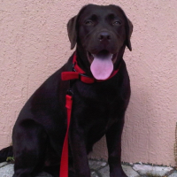 Photo #231933 de Dawa