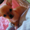 Photo0476