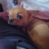 c'te bouille