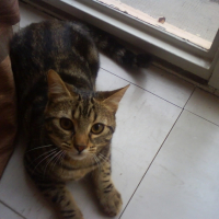 Voila Myrtille un peu plus grande ^^