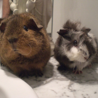 Photo #232064 de Praline