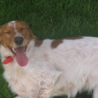 Photo #232087 de Bootsy