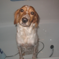 Photo #232095 de Bootsy